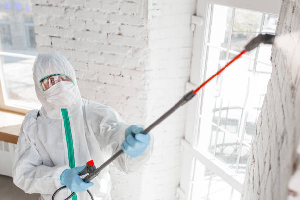 Best Mold Odor Removal Services  in Jurupa Valley, CA