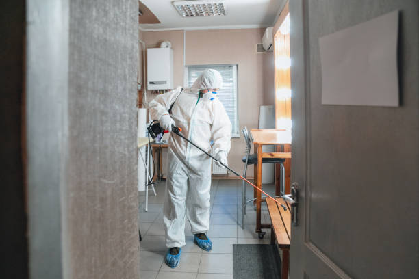Best Attic Mold Removal  in Jurupa Valley, CA