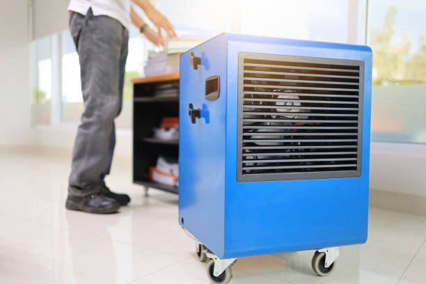 Best Post-Remediation Verification Testing  in Jurupa Valley, CA