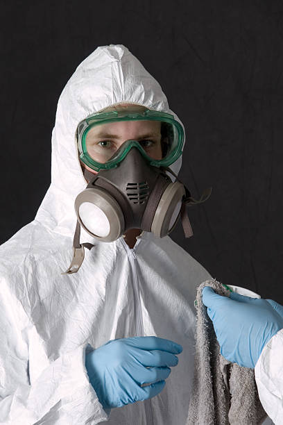 Best Mold Damage Restoration  in Jurupa Valley, CA